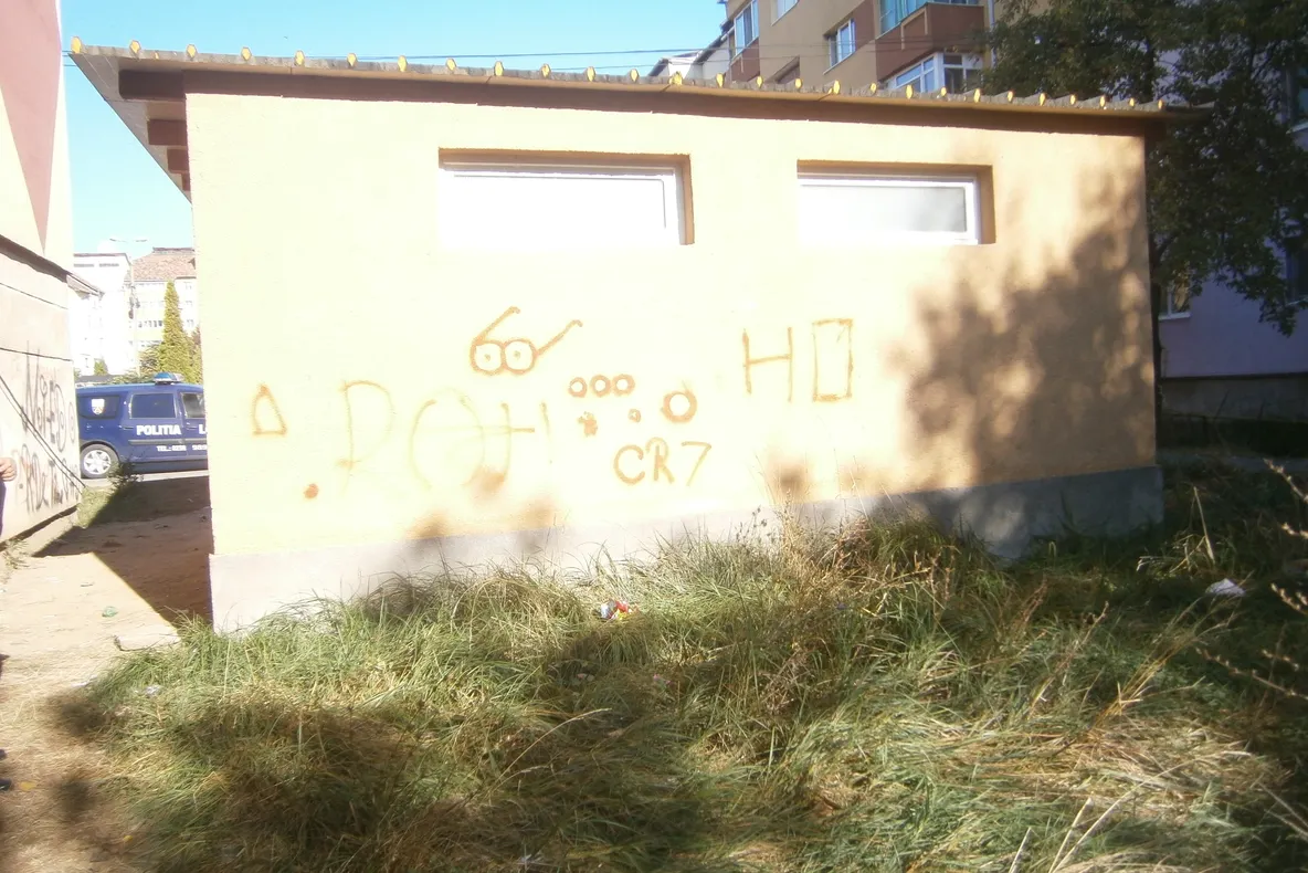 Minori din Alba Iulia prinși în timp ce mâzgăleau un bloc