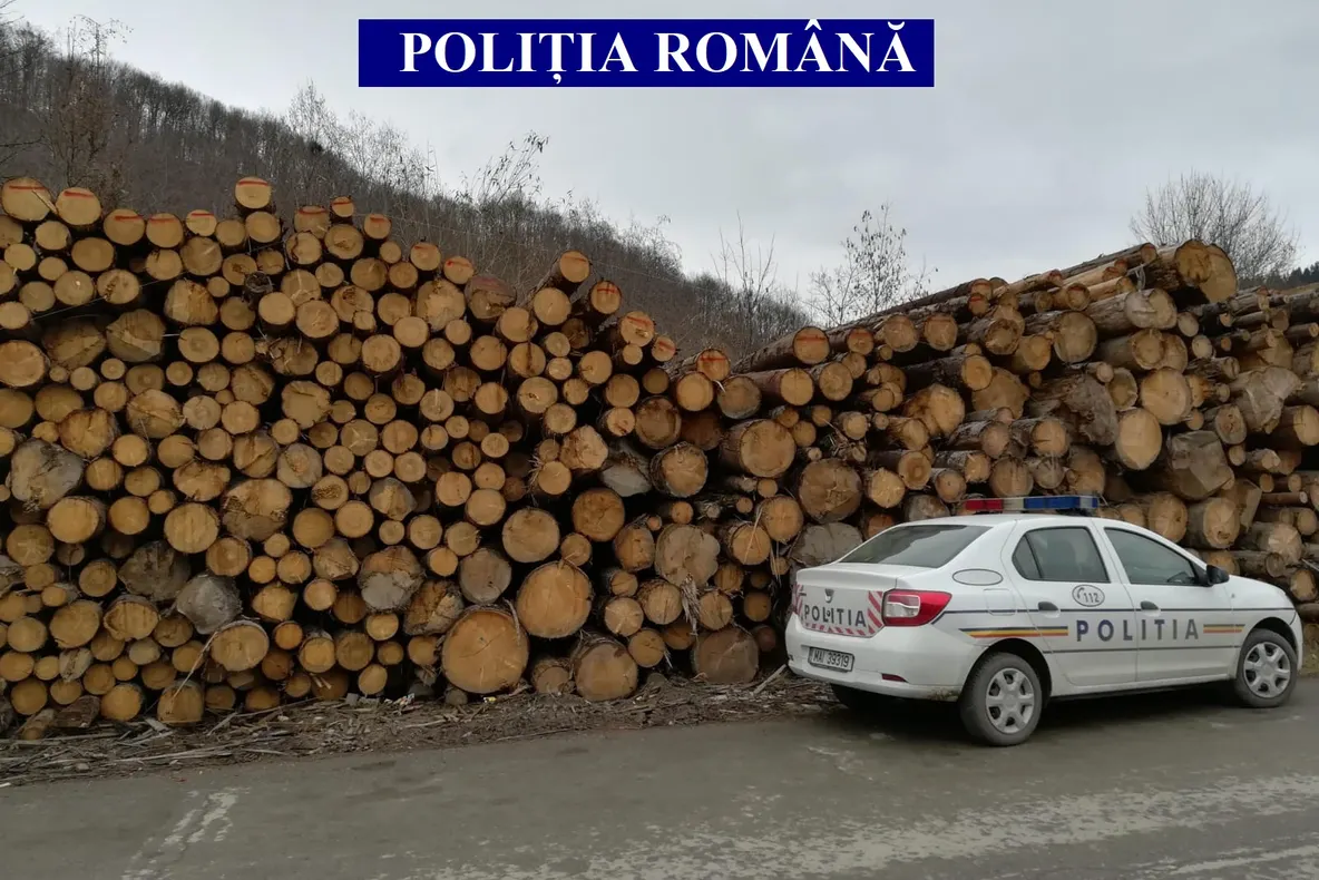 234 mc de lemn confiscați de poliţiştii din Lupşa