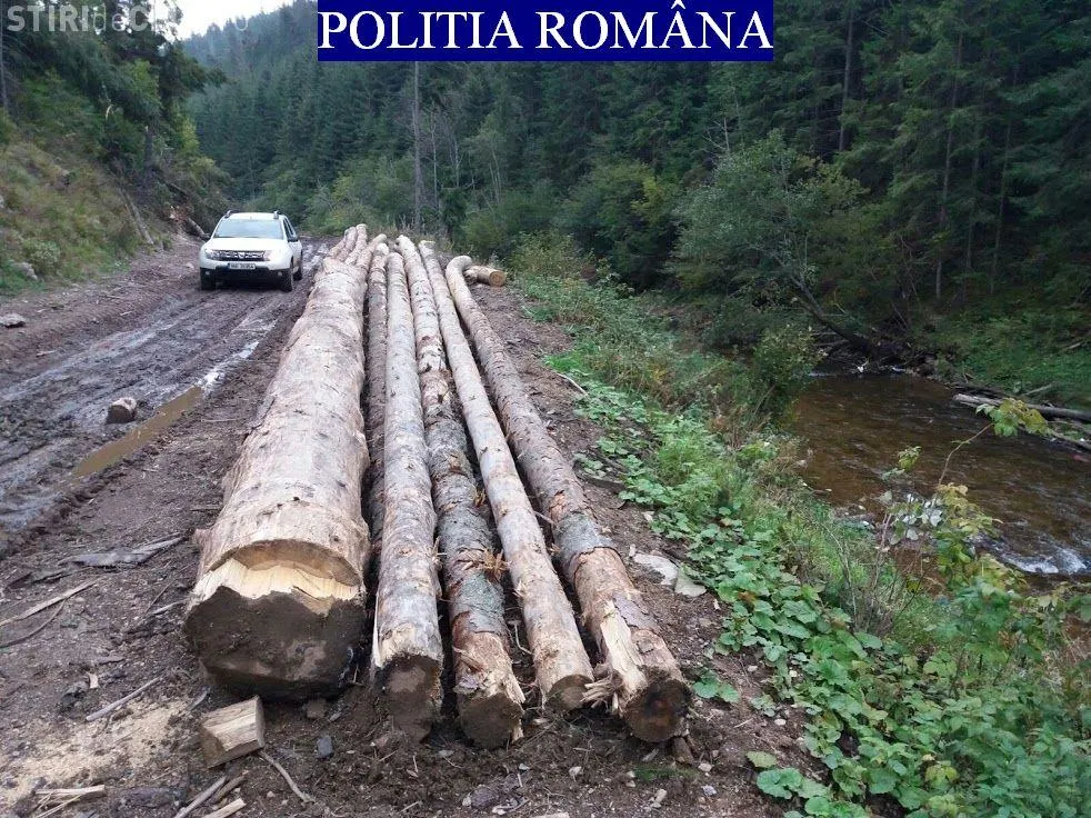 Poliţiştii din Ighiu au confiscat 14 mc de material lemnos