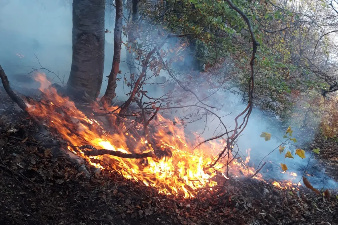 Un nou INCENDIU amenință pădurile județului Alba.  Ministerul Apărării intervine cu un avion SPARTAN.