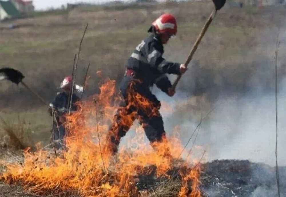 Pompierii intervin pentru a stinge un incendiu de vegetație la Mănarade
