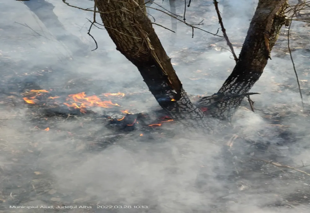 Zeci de incendii de vegetație uscată, stinse de pompieri, în weekend