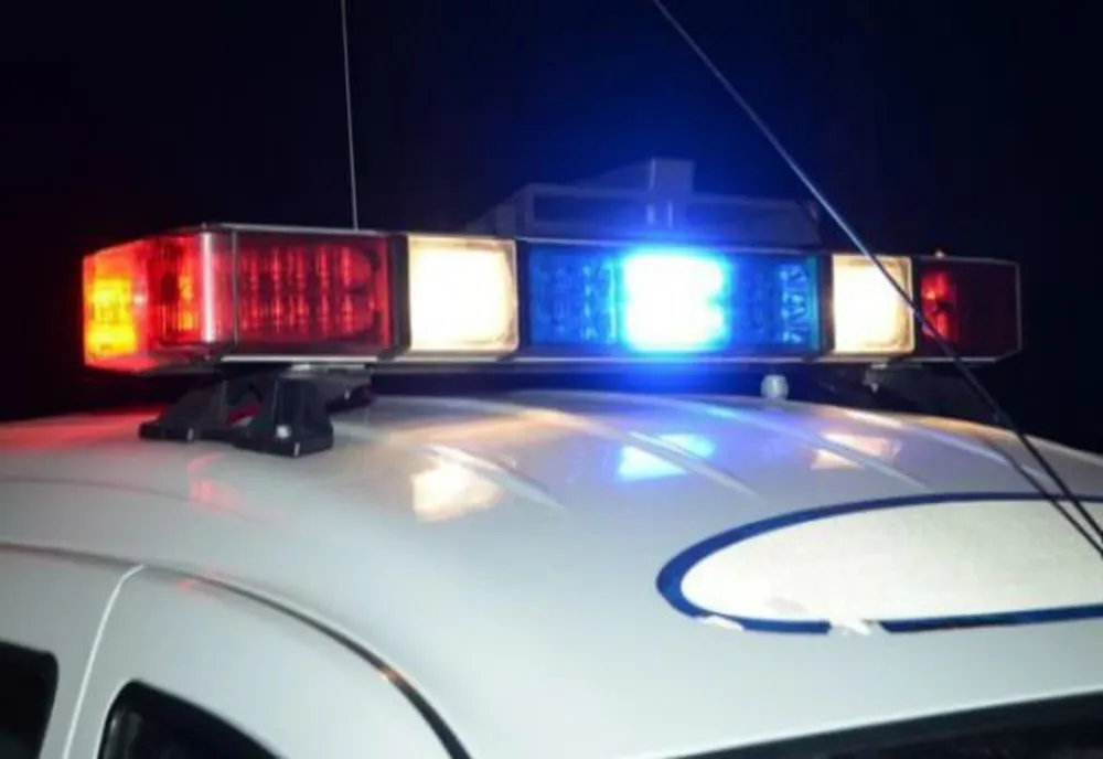 Cuplu de hoți, săltat de polițiști