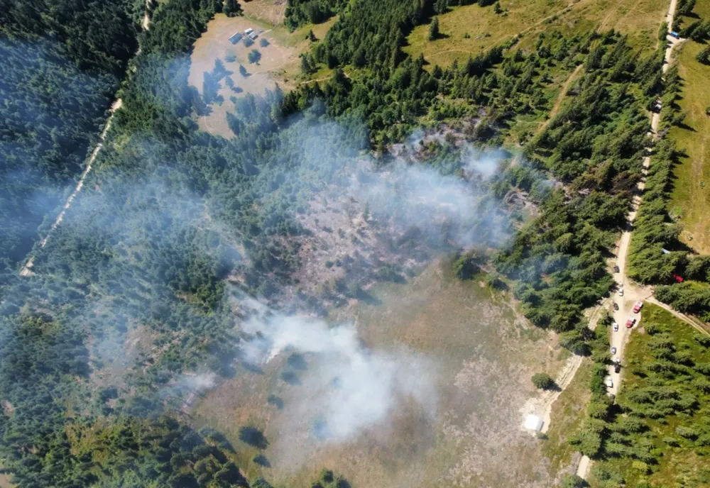 VIDEO - Incendiu de vegetație uscată și coronament pădure de molid în zona Bărăști - Dărnilosu 