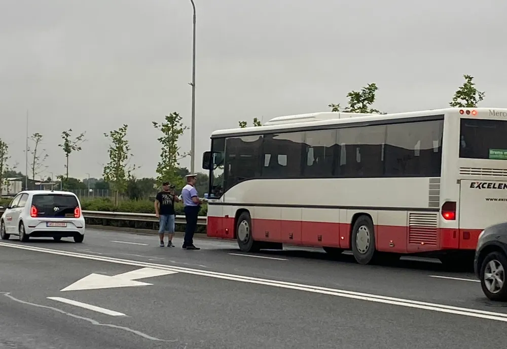 Razie printre transportatorii de persoane din Alba