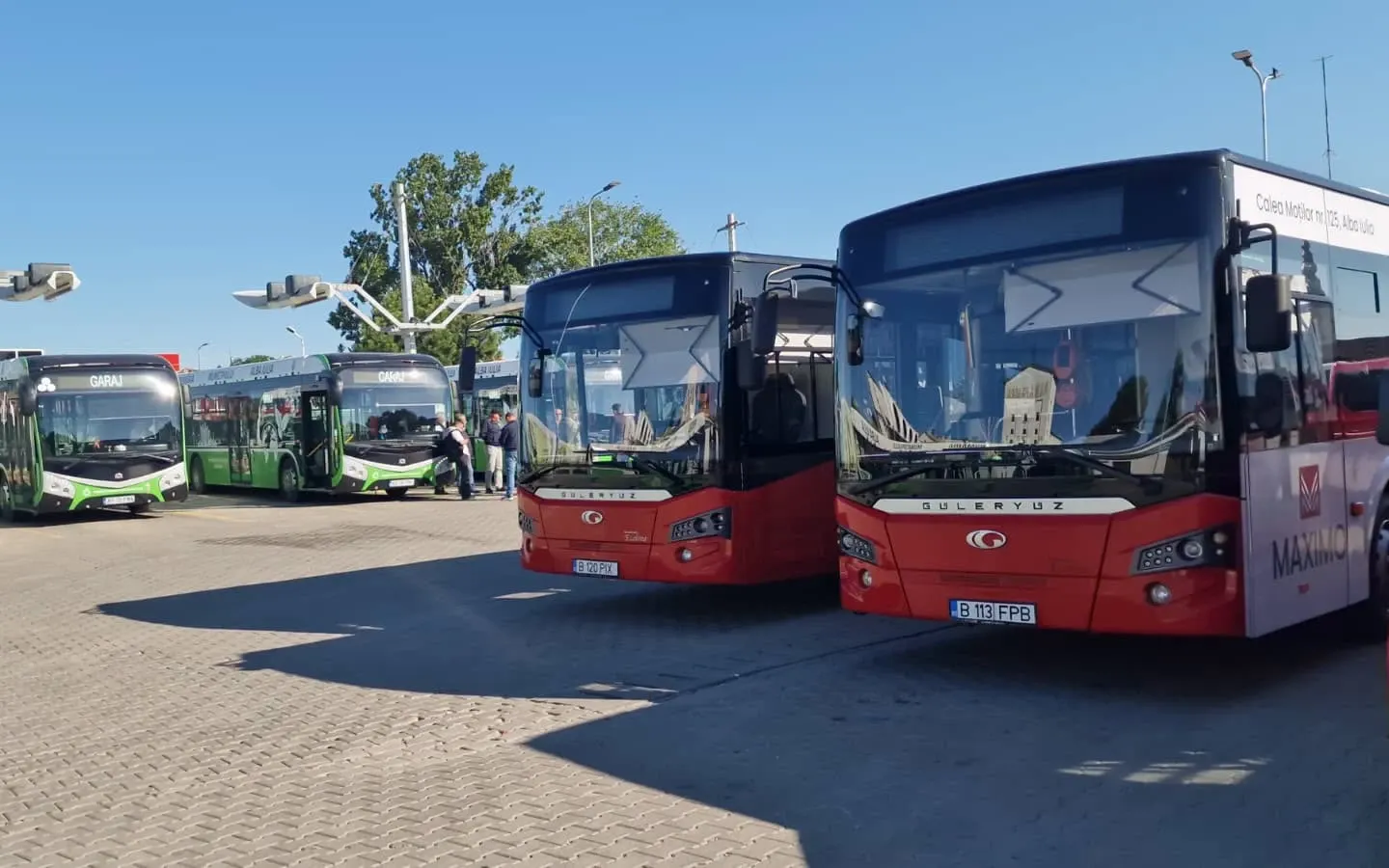 Primarul din Alba Iulia le cere șoferilor STP să revină la muncă