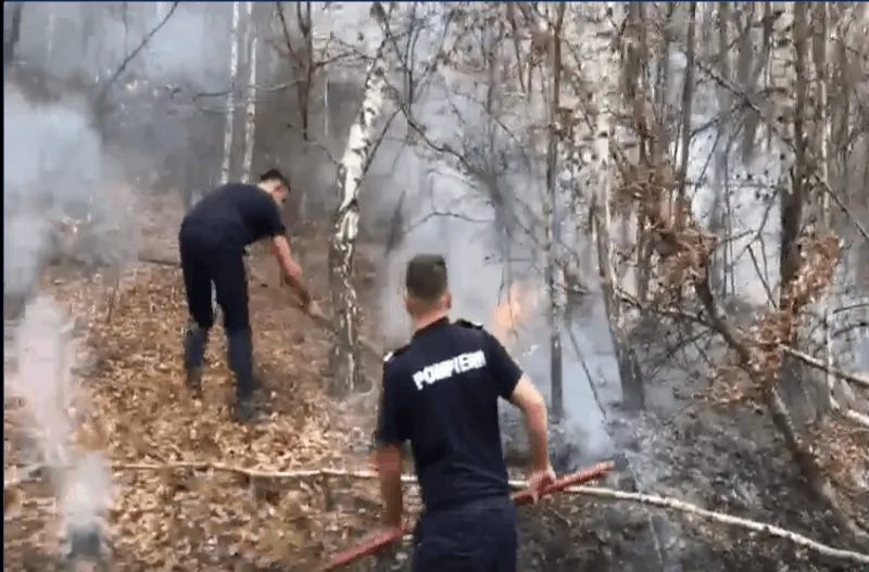 incendiusalciua