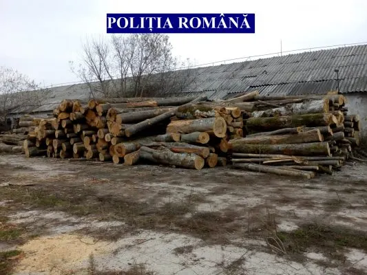 material lemnos