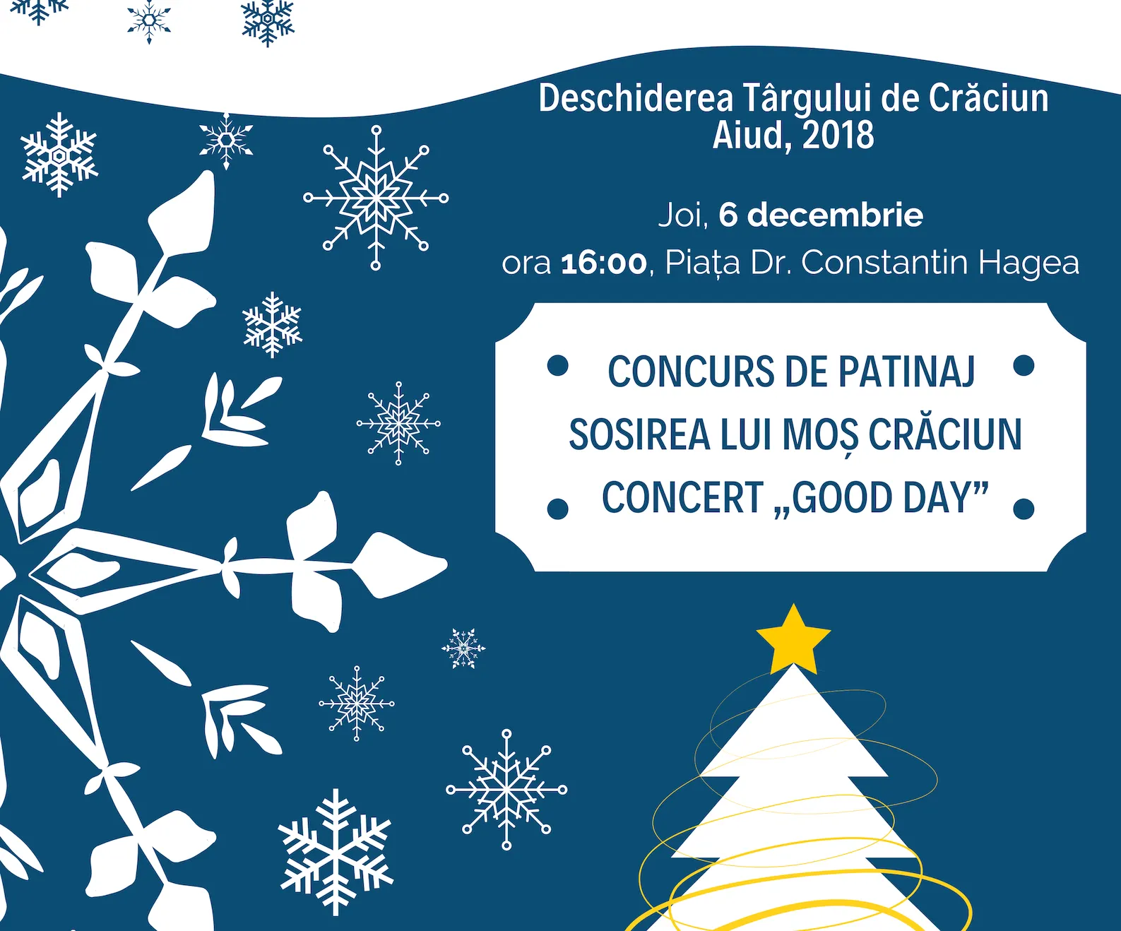 afis Targ de Craciun