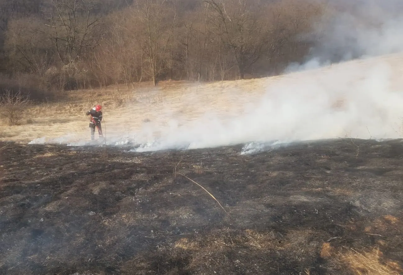 incendiuvegetatie