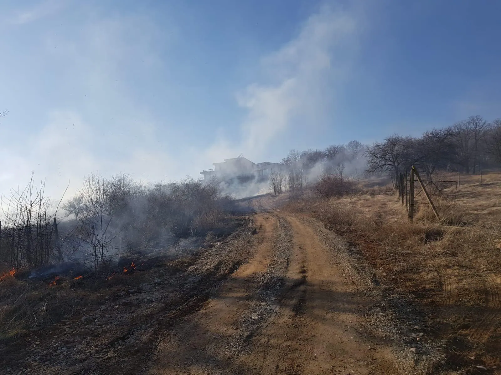 incendiuvegetatieuscataAlba