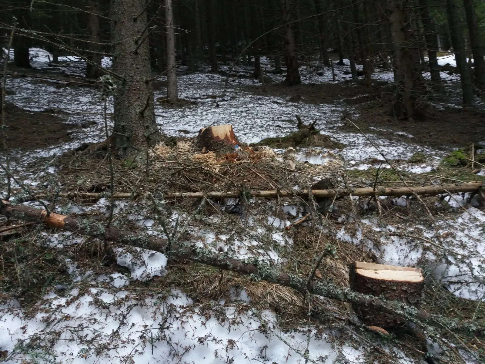 IMG-20190328-WA0032