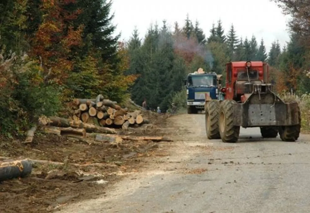 Blocarea activității în sectorul forestier nu este o soluție favorabilă României
