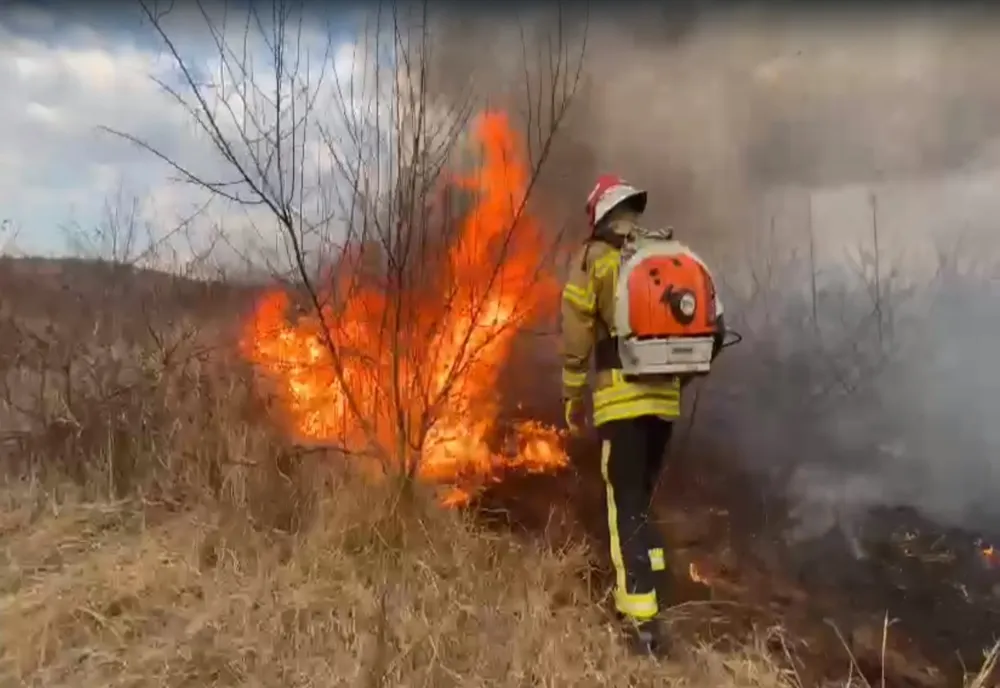 Dosar penal pentru o femeie din Aiud! Din cauza neglijenței acesteia au ars 47 de hectare