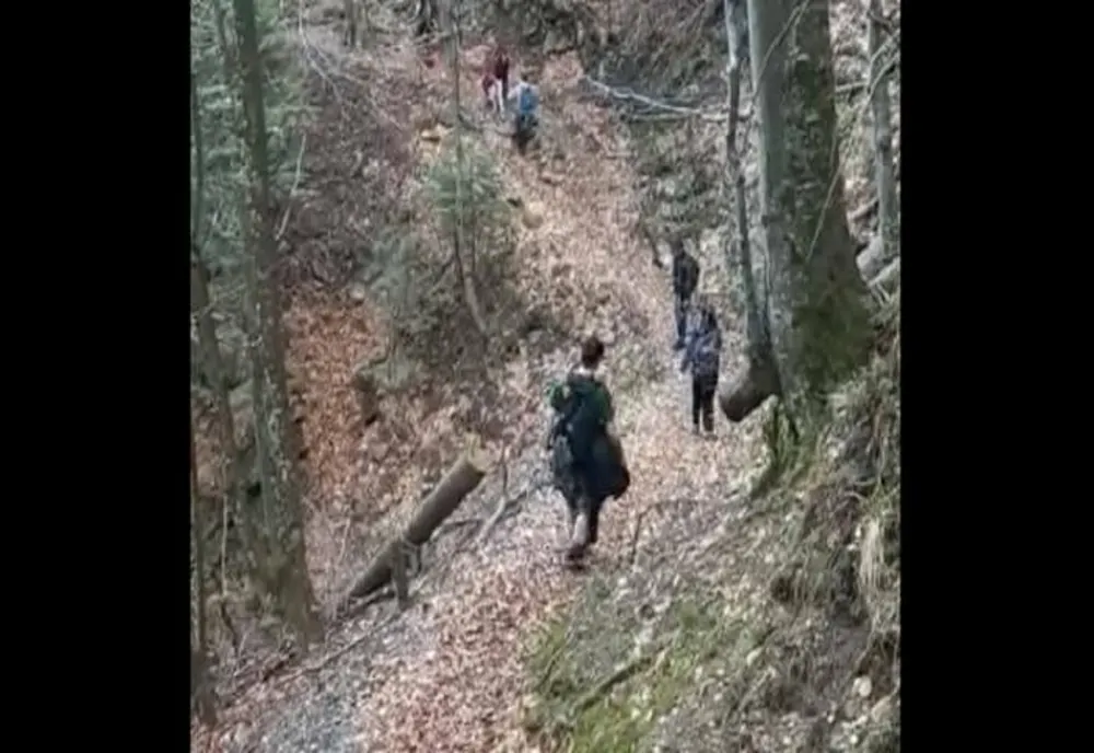 O turistă accidentată la gleznă a solicitat ajutorul salvamontiștilor