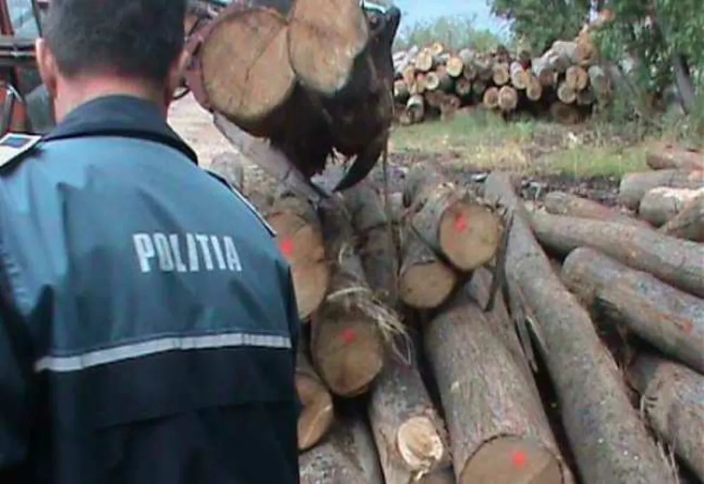 Amenzi de 13.300 de lei și 70 de metri cubi de material lemnos, confiscați