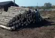 38 mc de material lemnos confiscați de la o firmă din Sebeș