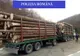 Patronul unei firme din Lupşa, reținuț pentru furt de lemn şi uz de fals