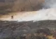 VIDEO: Incendiu de vegetație uscată pe strada Lalelelor din Alba Iulia