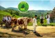 Târgul Național de Turism Rural de la Albac