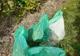 600 de kilograme de struguri confiscate de jandarmii albaiulieni