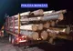 Polițiștii din Alba au confiscat 34 de mc de material lemnos