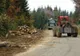 Blocarea activității în sectorul forestier nu este o soluție favorabilă României 
