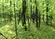 Femeie rătăcită în pădure, găsită la scurt timp de salvatori