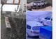 Un porc a evadat din remorca unui autoturism și a plecat la plimbare prin oraș!