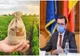 Planul Național Strategic  2023-2027, documentul de care depind subvențiile, a fost încărcat în sistemul electronic al Comisiei Europene