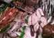 Controale în unităţile în care se comercializează peşte şi produse din pescuit