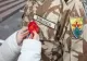 29 Aprilie, Ziua Veteranilor de Război. Bujorul, simbolul eroismului