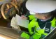 Mașinile înmatriculate în alte state, în vizorul polițiștilor din Alba