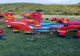 Bărbat, accidentat în pădure! A fost solicitat elicipterul SMURD