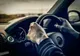 Permisul auto ar putea dispărea. Cum vor circula şoferii în următorii ani