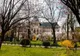 VICTORIA LUI NICUȘOR DAN LA PREZIDENȚIALE DESCHIDE O NOUĂ LUPTĂ ELECTORALĂ PENTRU PRIMĂRIA CAPITALEI